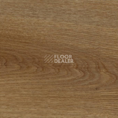 Кварцвиниловые полы FineFloor FF-1200 Strong 1255 Дуб Октопус фото 1 | FLOORDEALER